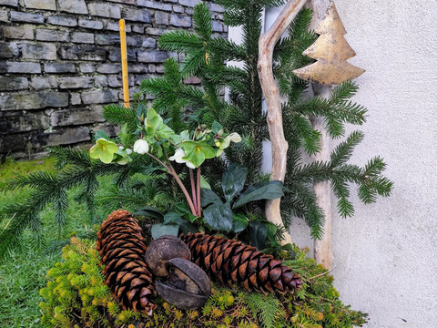 Bepflanzung - Winter