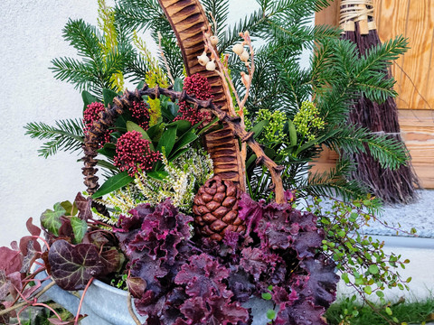 Bepflanzung - Winter