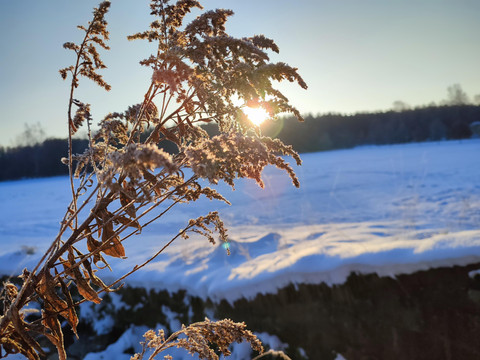 Blick Hofwiese - Winter