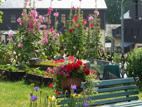 photo_2017-07-20_09-59-56