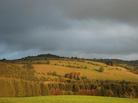 Lerchenhügel im Herbst 2013