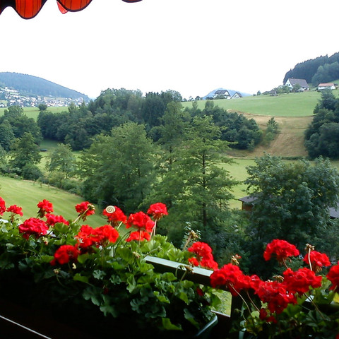 Blick vom Balkon