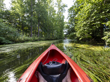 Kanu auf der Oker Blick aus einem Kanu auf einen Fluss im Grünen