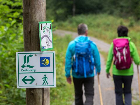 Unterwegs auf dem Lutherweg durch die Dübener Heide