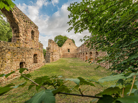 Klosterruine Nimbschen bei Grimma