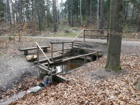 Wassertretbecken an der Lindenhofquelle