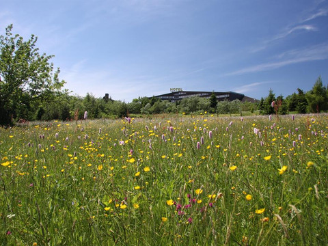 Außenaufnahme Hotel mit Wiese