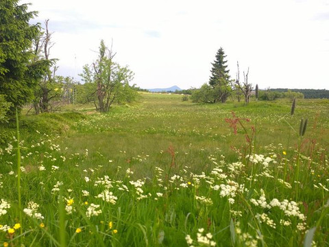 WP_20140604_18_11_56_Pro