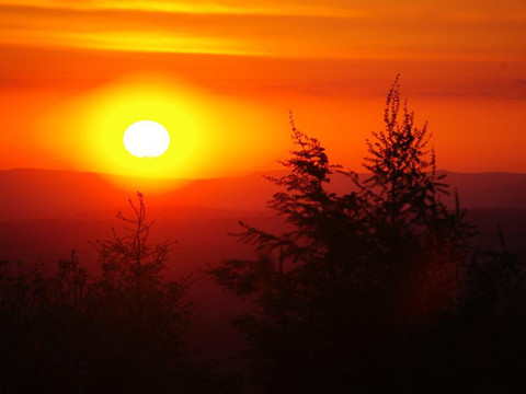 Bild 2009 - auch für Zeitung 001