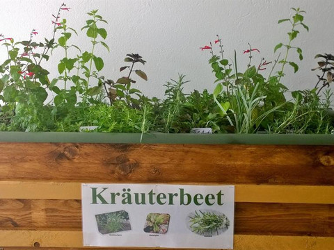 WP_20160528_16_50_11_Pro