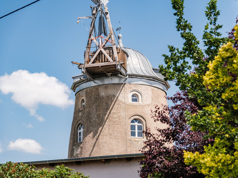 Turmholländer-Windmühle Pahrenz