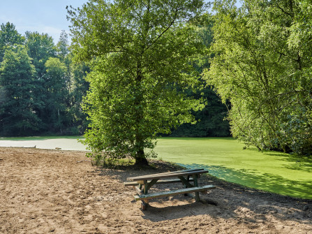 AAA Wingst Hundestrand See 3.webp