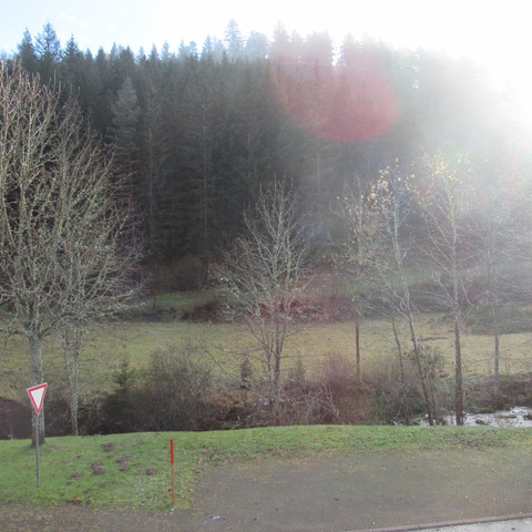 Fewo Schönmünzblick, Aussicht nach vorne, Heidi Jo