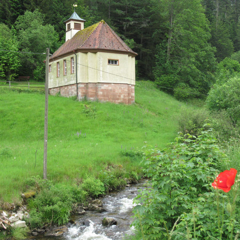 Fewo Schönmünzblick, Ausblick nach Süden, Heidi Jo