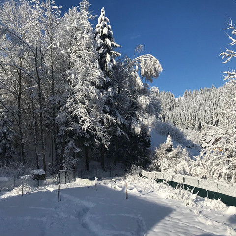 Fewo Schönmünzblick, Ausblick zum Garten, Heidi Jo