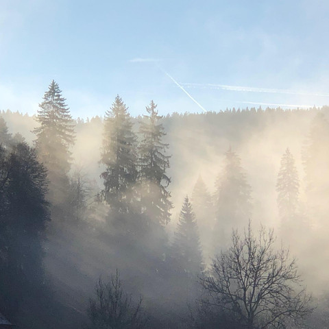 Fewo Schönmünzblick, Ausblick Richtung Süden, Heid