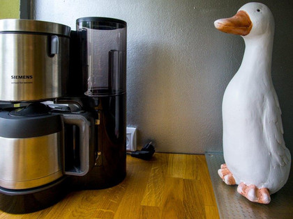 Küchenausstattung im Gästeappartement Hoppe in Salzgitter-Bad