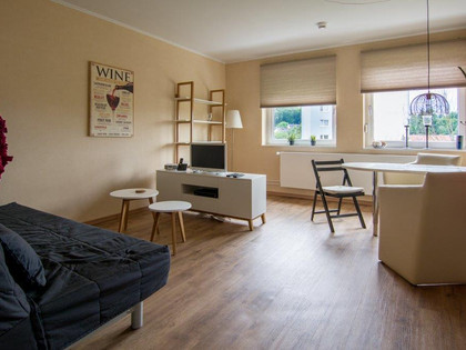 lichtdurchflutete Einrichtung im Gästeappartement Hoppe in Salzgitter-Bad
