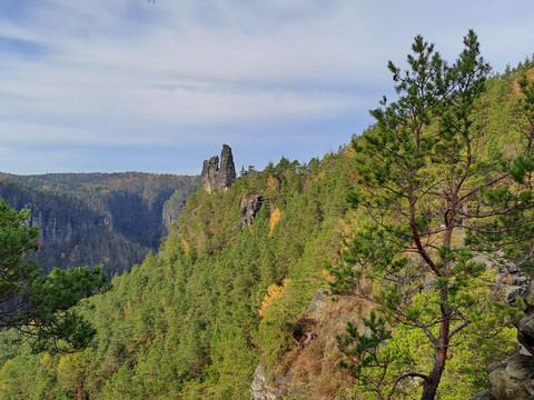 Elbsandsteingebirge- genießen Sie die Natur