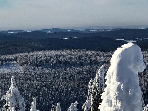 5b5e53ea-3726-44ac-8099-b285f2b7d984