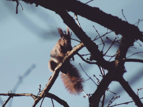 74877598-18FD-43FC-B1B7-F3E5755FC99C