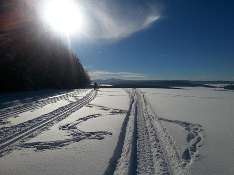 Loipen in ca. 300m Entfernung