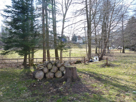 P1050031