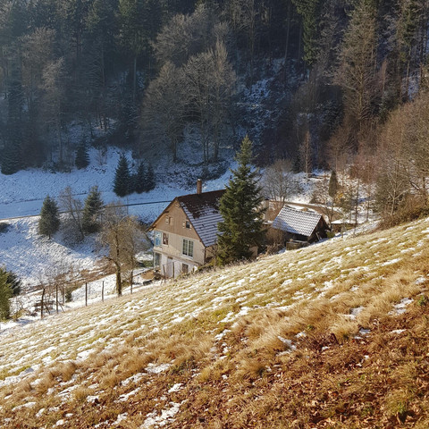 Winter auf dem Sommerberg