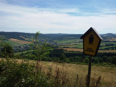Wandern am Pöhlberg