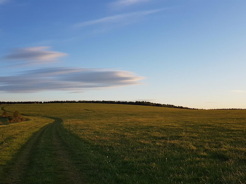 Natur hinterm Erbgericht