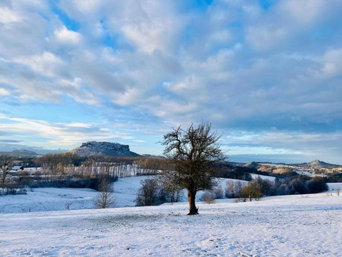 Blick zum Lilienstein 02