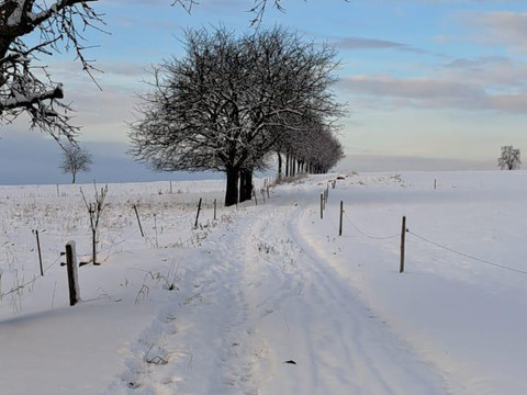 Wanderweg 01