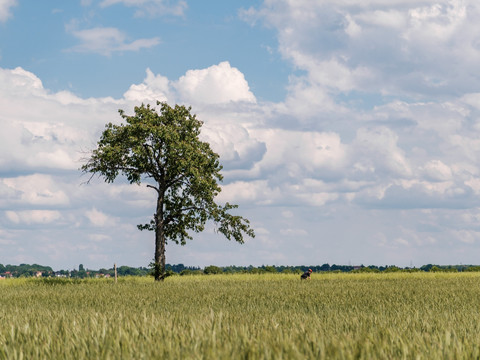 Zwischen Heyda und Schänitz