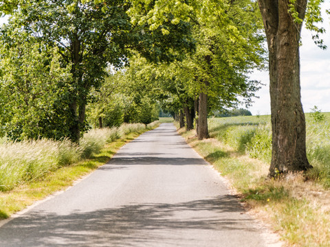Ruhige naturnahe Wege