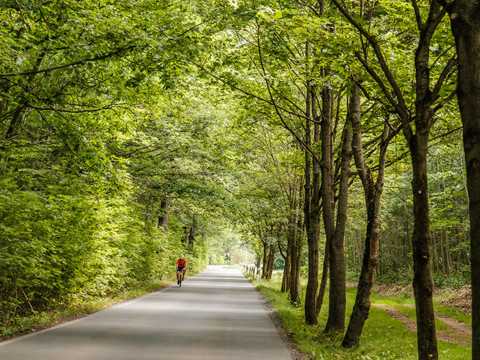 Über ruhige Straßen durch den Friedewald bei Moritzburg