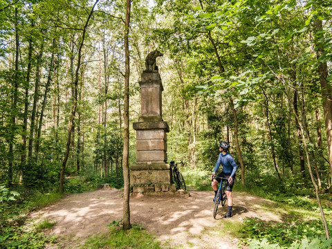 Wolfsdenkmal im Friedewald bei Weinböhla