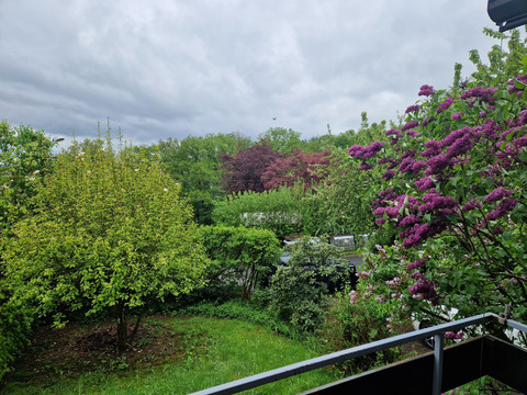 Garten Blick von einem Balkon auf einen grünen Garten, umgeben von lila blühenden Büschen und dichten Bäumen.