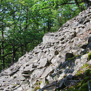 Blockhalde im Nationalpark_Daudenberg.jpg
