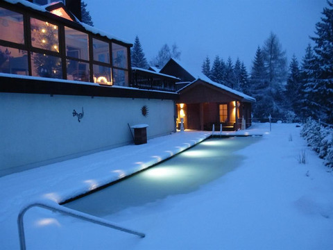 Teich im Winter