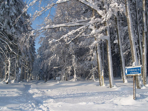 Winterwald vor dem Gasthaus