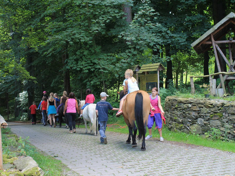 Ponyausleihstation Markus Röhling