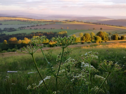 Blick von der Pöhlbergalm in Annaberg-Buchholz