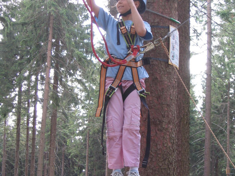 Kletterwald an den Greifensteinen