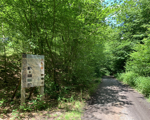 Infotafel zum Bergbau, auf dem Bergwerk Rundweg 2 bei Bergfreiheit