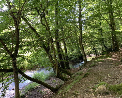 Auf dem Bergwerk Rundweg 2 bei Bergfreiheit