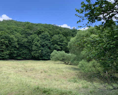 Auf dem Bergwerk Rundweg 2 bei Bergfreiheit