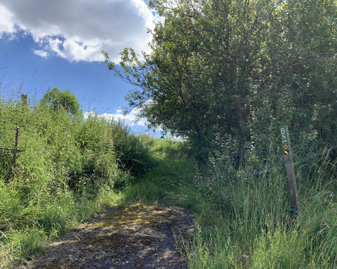 Auf dem Bergwerk Rundweg 2 bei Bergfreiheit