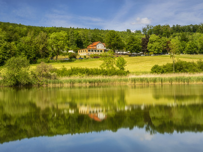 Reitlingstal