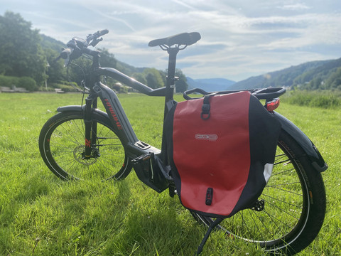 Beispiel E-Bike (2)