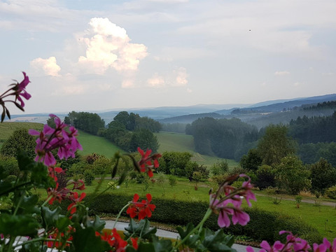Blick aus dem Fenster